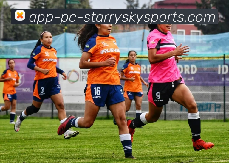 星空体育服务体系